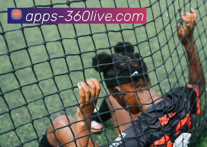 360直播平台生态图